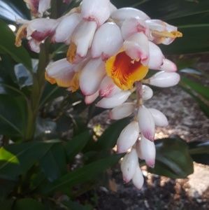 Meet your Posher, Marcie